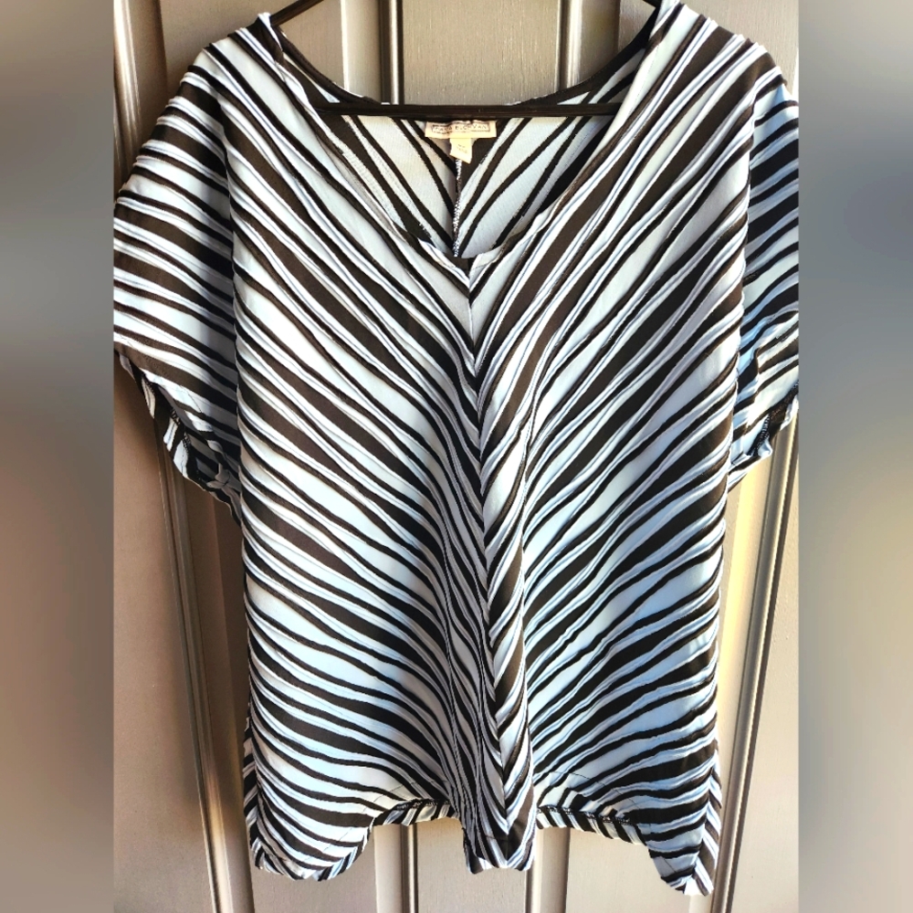 Dana Buchman Womens Sleeveless Shirt Blouse Top Black Lt Blue Stripe Sz 2X EUC